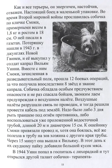 Собачки-задачки - фото 3