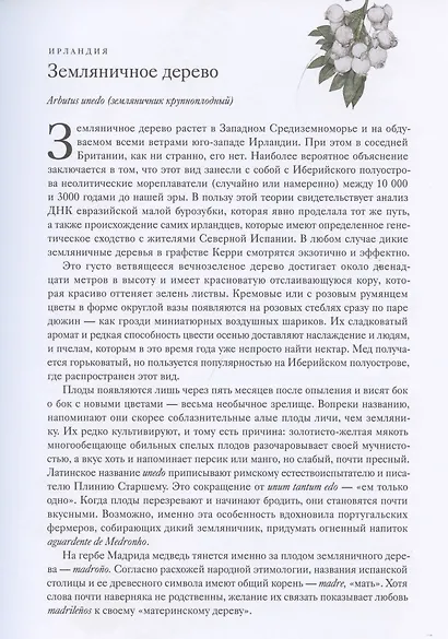 Вокруг света за 80 деревьев - фото 10