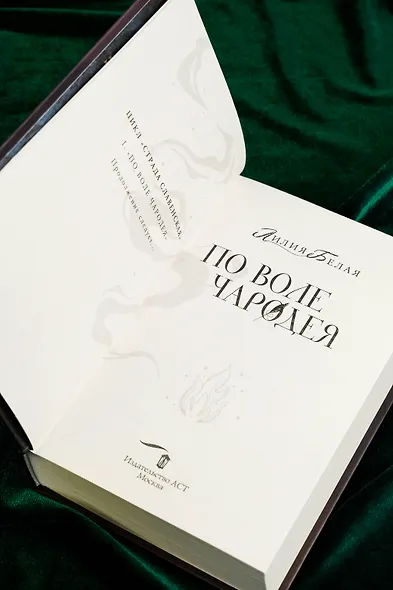 По воле чародея - фото 11