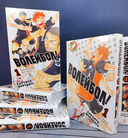 Волейбол! Том 1 - Хината и Кагэяма. Вид с высоты (Haikyuu!). Манга - фото 12