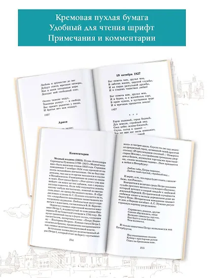 Медный всадник. Поэмы. С комментариями - фото 5