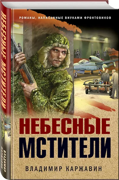 Небесные мстители - фото 3