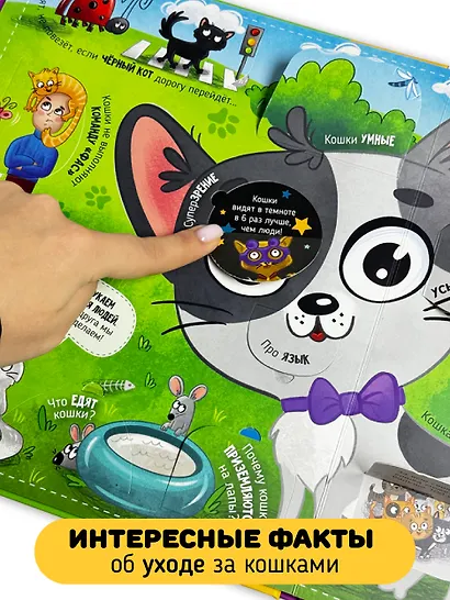 "Смотри, кошка!". Книга с окошками - фото 8