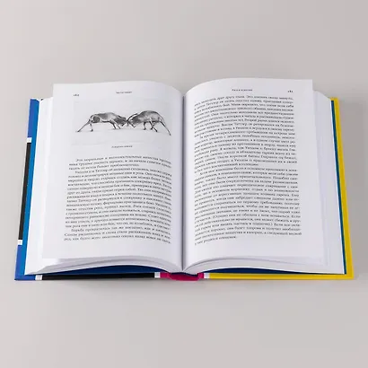 Тестостерон: гормон, который разделяет и властвует - фото 14