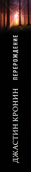 Перерождение - фото 5