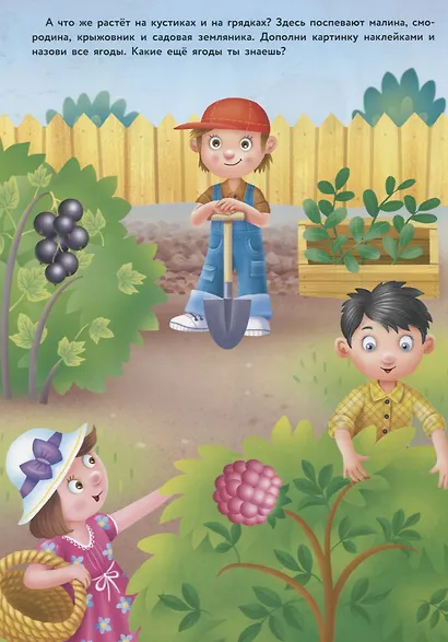 Многоразовые наклейки. Фрукты и ягоды - фото 5
