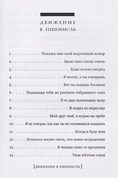 Движение в Пшемысль - фото 4