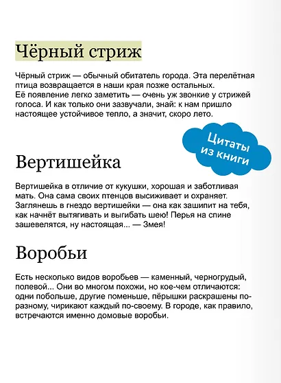 Птицы. Детская энциклопедия (Чевостик) - фото 7