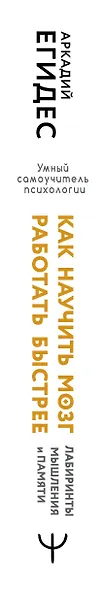 Как научить мозг работать быстрее. Лабиринты мышления и памяти - фото 5