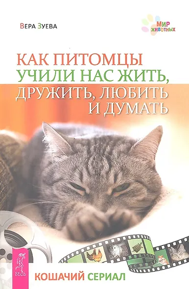 Как питомцы учили нас жить, дружить, любить и думать. Кошачий сериал - фото 1