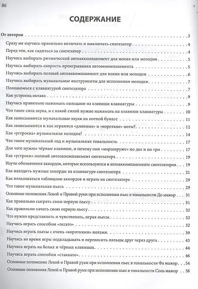 Синтезатор для начинающих - фото 2
