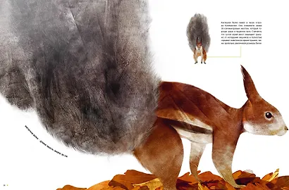 Самые удивительные животные в натуральную величину - фото 14