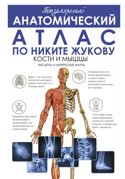 Популярный анатомический атлас по Никите Жукову. Кости и мышцы. Инсайты и интересные факты - фото 1