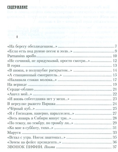 Золотоносная мгла - фото 2