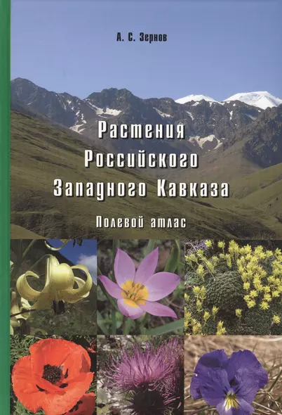 Растения Российского Западного Кавказа: Полевой атлас - фото 1