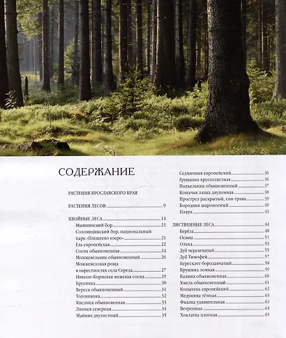 Ярославский край: растения и животные, реки и озера - фото 2