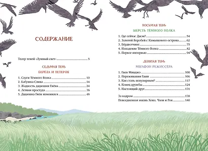 Магазин теней «Лунный свет». Книга 3. Тайна чёрных птиц - фото 3