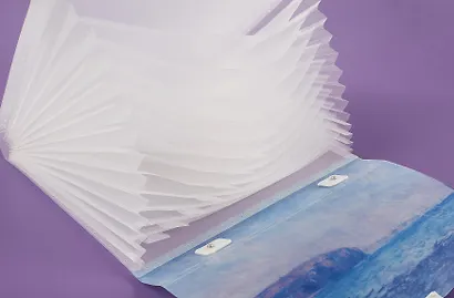 Портфель А4 12отд. "Клод Моне. Прогулка по скалам", ассорти - фото 9