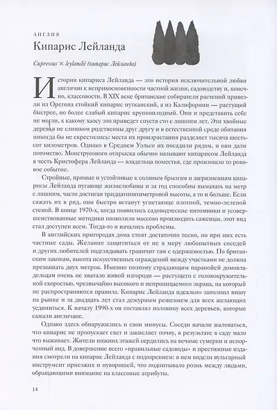 Вокруг света за 80 деревьев - фото 7