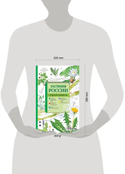 Растения России. Определитель - фото 3