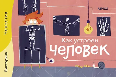Как устроен человек. Викторина - фото 1