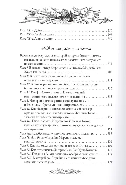 Золотая Кастилия. Медвежонок Железная Голова - фото 3
