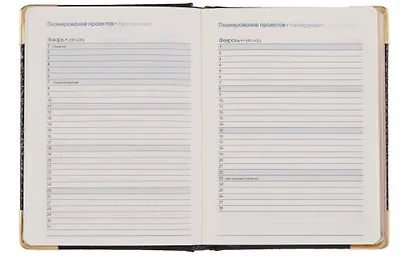 Ежедневник датированный 2026 год, А6, 176 листов, "Business Premium. Grand croco", черный - фото 5