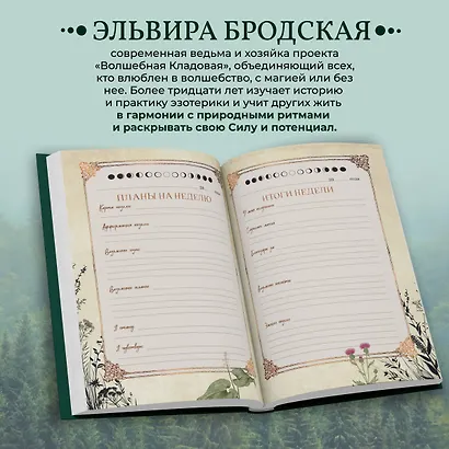 Дневник современной ведьмы: для записей, списков дел, мыслей, обрядов, рецептов и самоанализа (зеленый) - фото 5