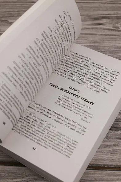 Дело о золотой мушке - фото 9