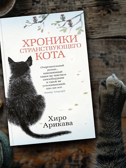 Хроники странствующего кота - фото 11