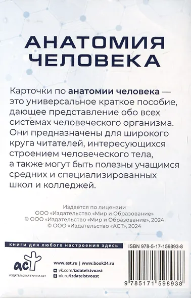 Анатомия человека. 80 карточек. Все системы - фото 5