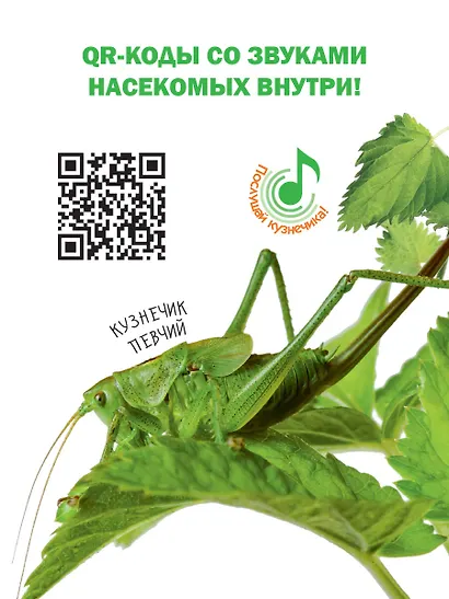 Насекомые. Книжка с неклейками - фото 7