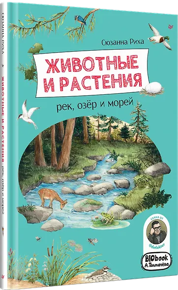 Животные и растения рек, озёр и морей. BIObook А. Толмачёва - фото 2