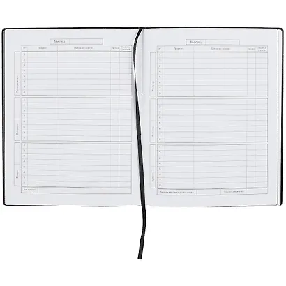 Дневник школьный Феникс+, "Кот" - фото 2