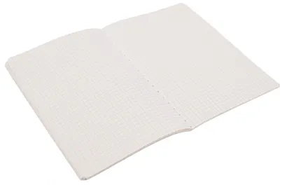 Тетрадь в клетку Be positive, "Мальчик с киской", 36 листов, в ассортименте - фото 3