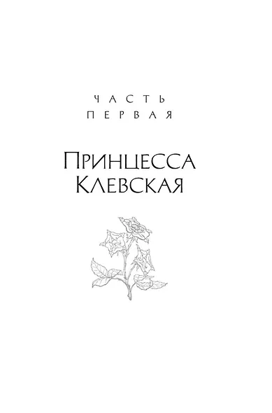 Королева секретов. Роман об Анне Клевской - фото 12