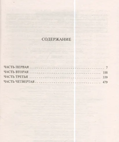 Идиот - фото 2