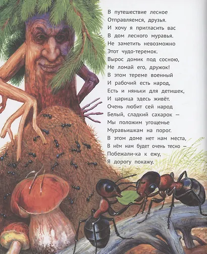 Лес чудес. Энциклопедия для детей - фото 4