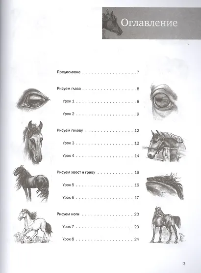 Пошаговые уроки рисования. Рисуем лошадей - фото 2