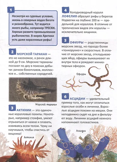 Энциклопедия российского школьника. Подводный мир. 250 фактов - фото 3