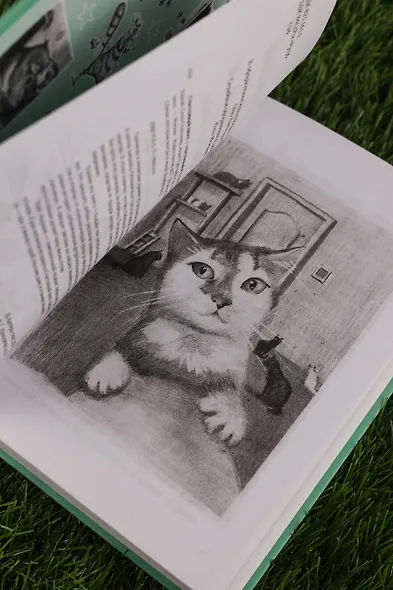 Счастливый хвост — счастливый я! Рассказы о котах и кошках - фото 9
