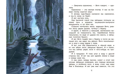 Воробьиное озеро. Рассказы - фото 5