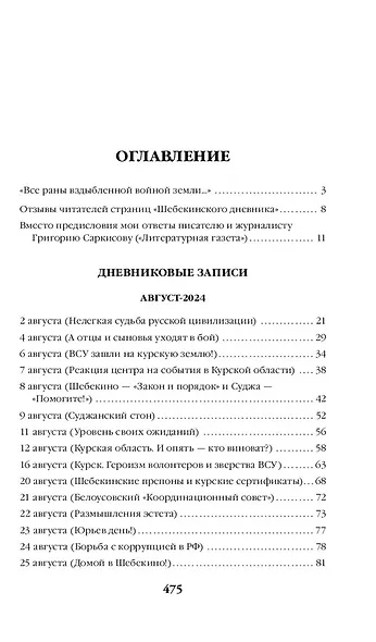 Шебекинский дневник-2. Я вам расскажу о Шебекино смелом - фото 4