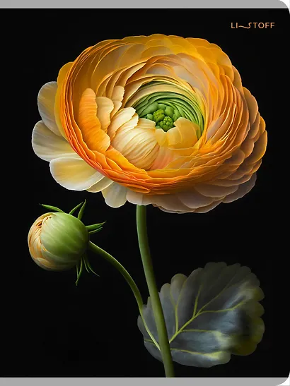 Тетрадь в клетку Listoff, "Лютик", А4, 80 листов - фото 1