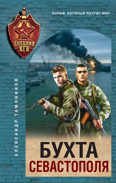 Бухта Севастополя - фото 1