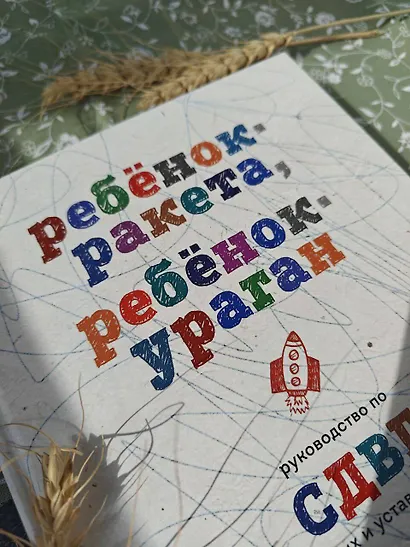 Ребенок-ракета, ребенок-ураган. Руководство по СДВГ для любящих и уставших родителей - фото 12