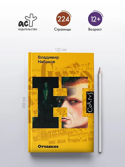 Отчаяние - фото 4