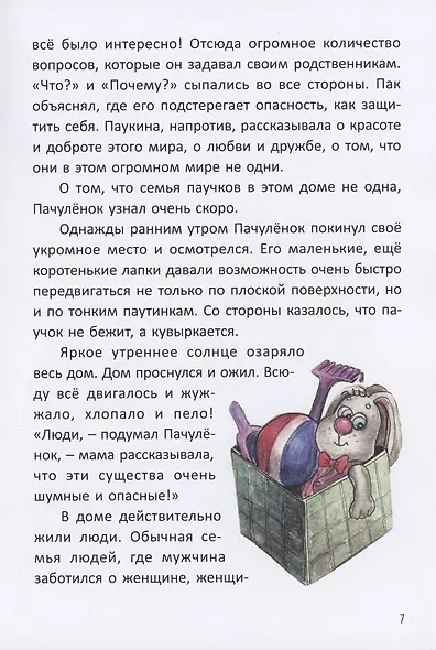 Сказка о храбром паучке - фото 5