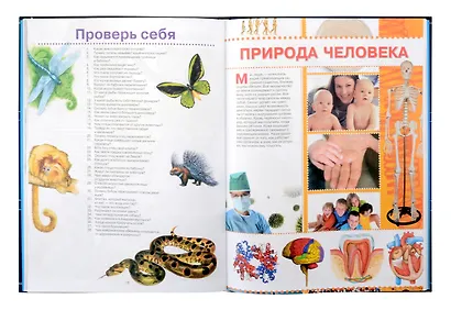 Большая энциклопедия школьника - фото 2