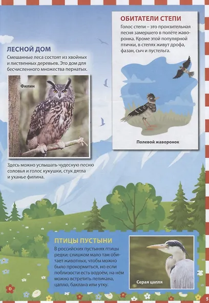Энциклопедия птиц России для детей - фото 3
